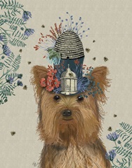 Yorkshire Terrier Milliners Dog