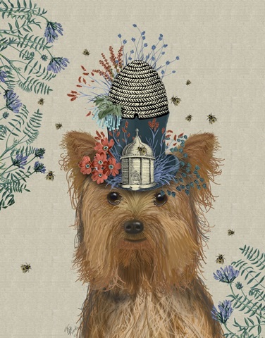 Yorkshire Terrier Milliners Dog