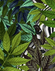 Zebra in Green Leaves