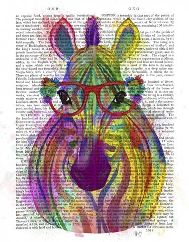 Zebra Rainbow Splash 1