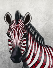 Zebra, Red Love Hearts