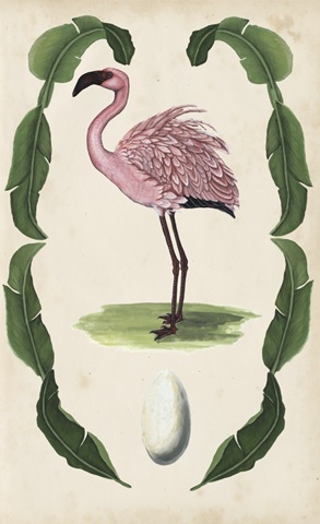 Antiquarian Menagerie - Flamingo II
