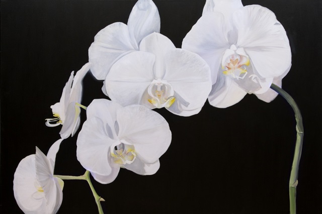 Dramatic Orchids I
