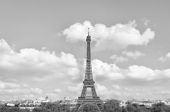 Eiffel From Afar II