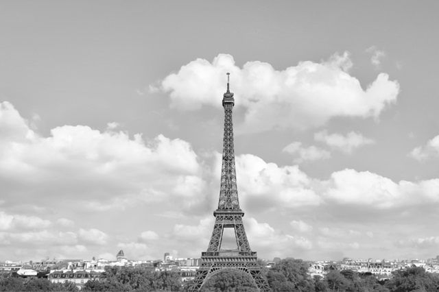 Eiffel From Afar II