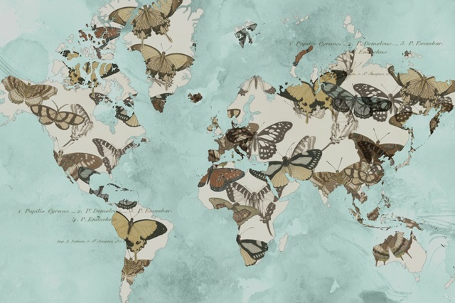 Migration of Butterflies