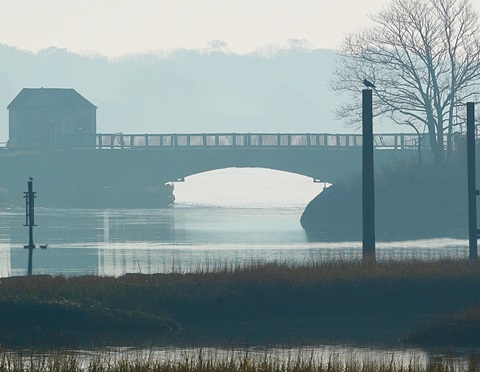 Scene on the Water IX