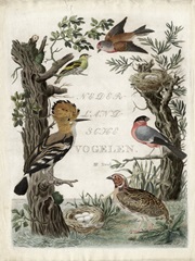 Woodpecker Sanctuary