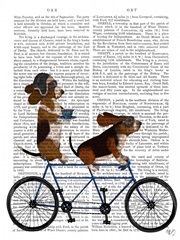 Basset Hound Tandem