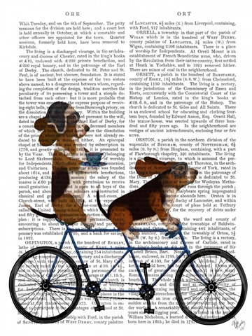 Basset Hound Tandem