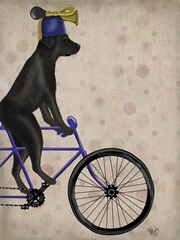 Black Labrador on Bicycle