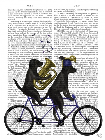 Black Labrador Tandem