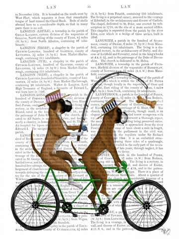 Boxer Tandem