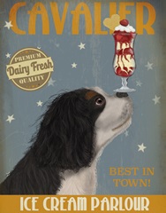 Cavalier King Charles, Black White, Ice Cream