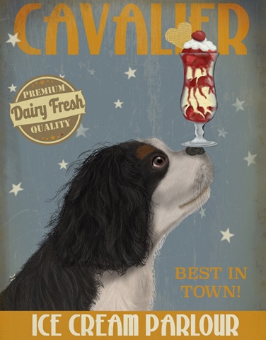 Cavalier King Charles, Black White, Ice Cream