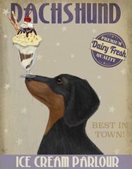 Dachshund, Black and Tan, Ice Cream