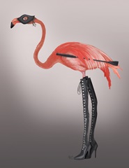 Flamingo with Kinky Boots