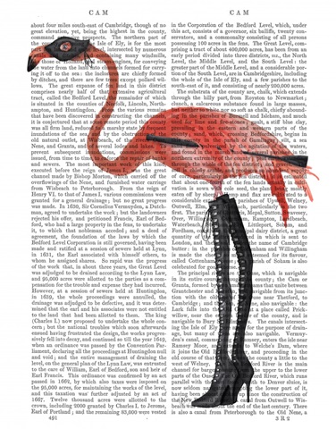 Flamingo with Kinky Boots