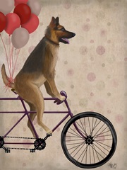 German Shepherd on Bicycle