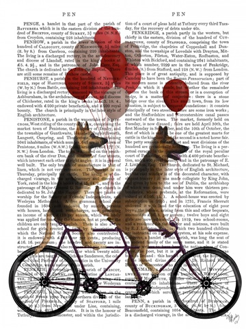German Shepherd Tandem