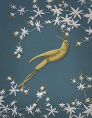 Golden Hummingbird 2