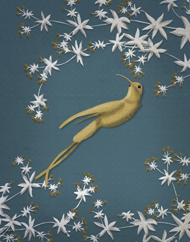 Golden Hummingbird 2