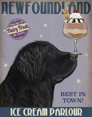 Newfoundland Ice Cream