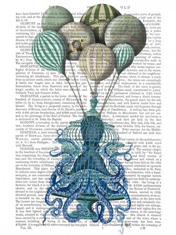 Octopus Cage and Balloons