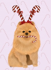 Pomeranian and Candy Canes