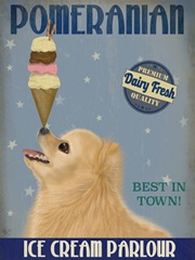 Pomeranian Ice Cream