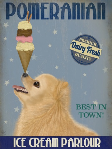Pomeranian Ice Cream
