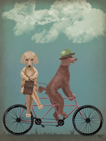 Poodle Tandem