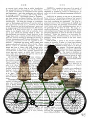 Pug Tandem