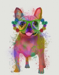 Rainbow Splash French Bulldog, Full