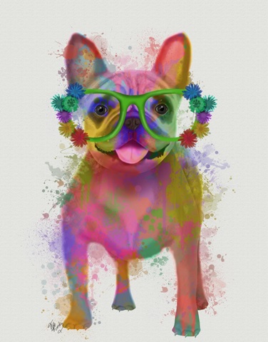 Rainbow Splash French Bulldog, Full