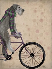 Schnauzer on Bicycle, Grey