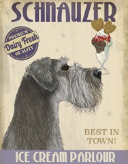 Schnauzer, Grey, Ice Cream