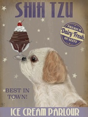 Shih Tzu Ice Cream
