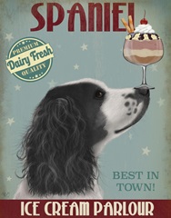 Springer Spaniel, Black and White, Ice Cream