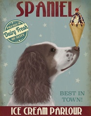 Springer Spaniel, Brown and White, Ice Cream