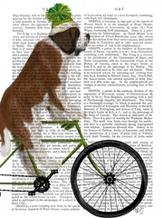 St Bernard on Bicycle