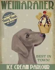 Weimaraner Ice Cream