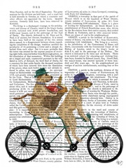 Yellow Labrador Tandem