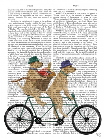 Yellow Labrador Tandem