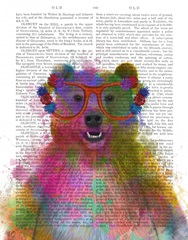 Rainbow Splash Bear