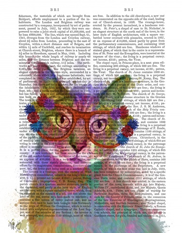 Rainbow Splash Cat 1