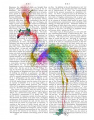 Rainbow Splash Flamingo 1