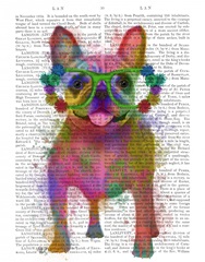 Rainbow Splash French Bulldog, Full