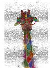 Rainbow Splash Giraffe 3