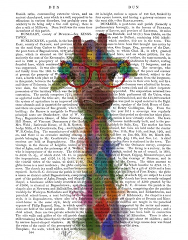 Rainbow Splash Giraffe 3